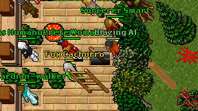 Fox Cachorro on screen