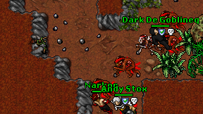 Narkon on screen