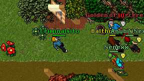 Criminalsito on screen