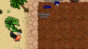 Nehas on screen