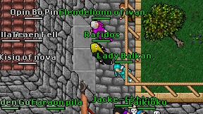 Rafidos on screen