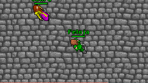 Feloja on screen