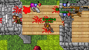 Curiea on screen