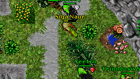 Siga Naur on screen