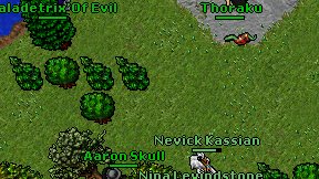 Druid Cio on screen