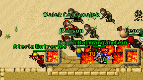 Raiison on screen