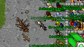 Mystic Videl on screen