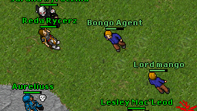 Bongo Agent on screen