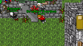Druid of Rayden on screen