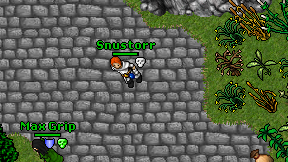 Snustorr on screen