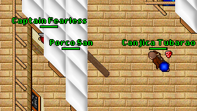 Porco San on screen