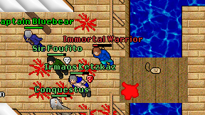 Immortal Warrior on screen