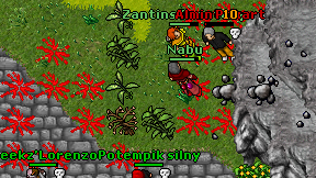 Almin Poxart on screen