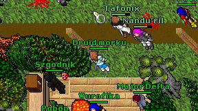 Druid morku on screen