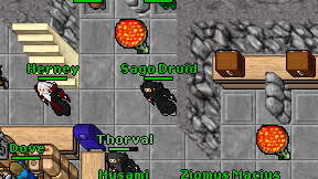 Sago Druid on screen