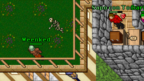 Weenked on screen