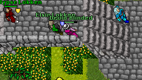 Druid'Blinded on screen