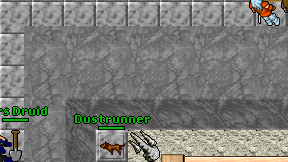 Masters Druid on screen