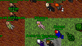 Silanca on screen