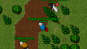Magson Paladyn on screen