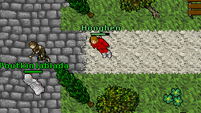 Hooghen on screen