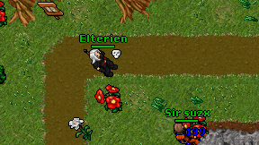 Elterien on screen