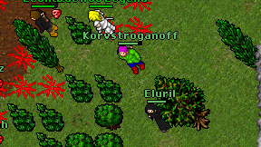 Korvstroganoff on screen