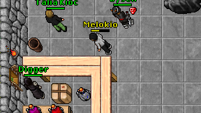 Melokio on screen