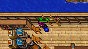 Hesty on screen