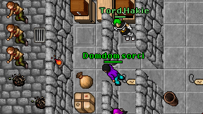 Domdom sorci on screen