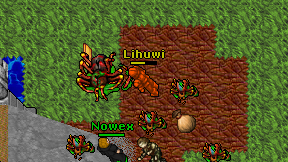 Lihuwi on screen