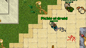 Pichis el druid on screen