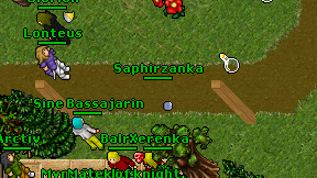 Saphirzanka on screen