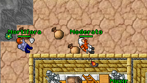 Moderato on screen
