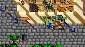 Moti Druid on screen