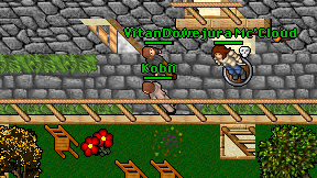 Kobii on screen