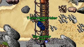 Teen Nightrider on screen