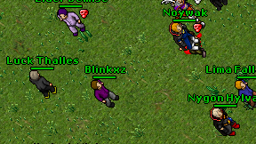 Blinkxz on screen