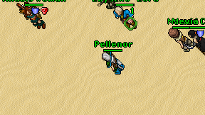 Pellenor on screen