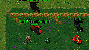 Patrykol Knight on screen