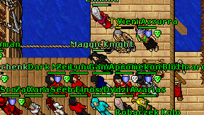 Maggic Knight on screen
