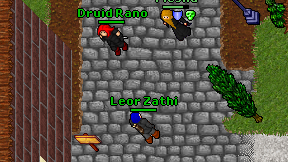 Leor Zathi on screen