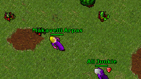 Makavelli Arpas on screen