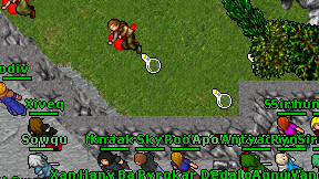 Kodiv on screen