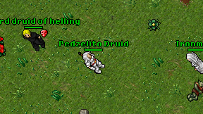 Pedzelito Druid on screen