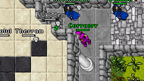 Corrcorr on screen