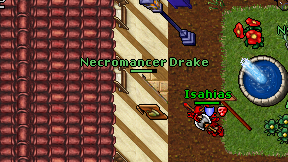 Necromancer Drake on screen