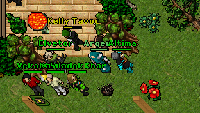 Argenk on screen