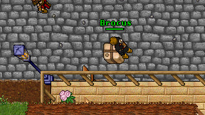 Brocus on screen