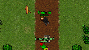 Caprio on screen